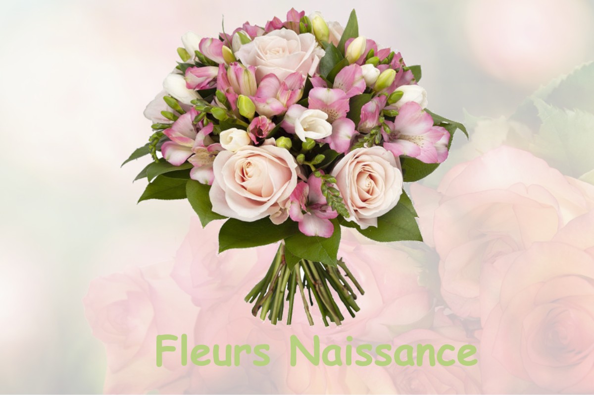 fleurs naissance SAINT-CLEMENT-DE-RIVIERE