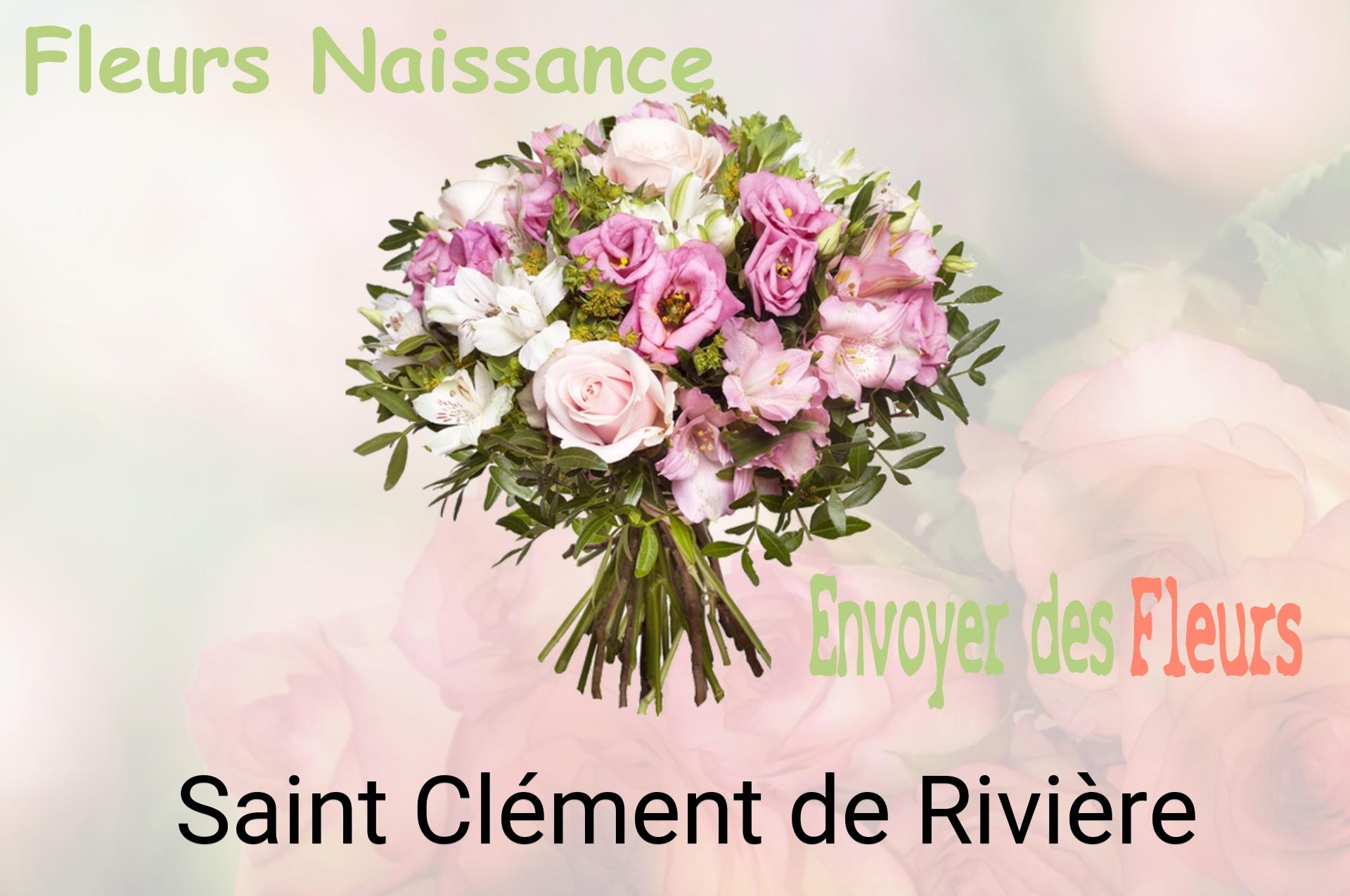 Bouquet de fleurs de naissance livré à Saint-Clément-de-Rivière