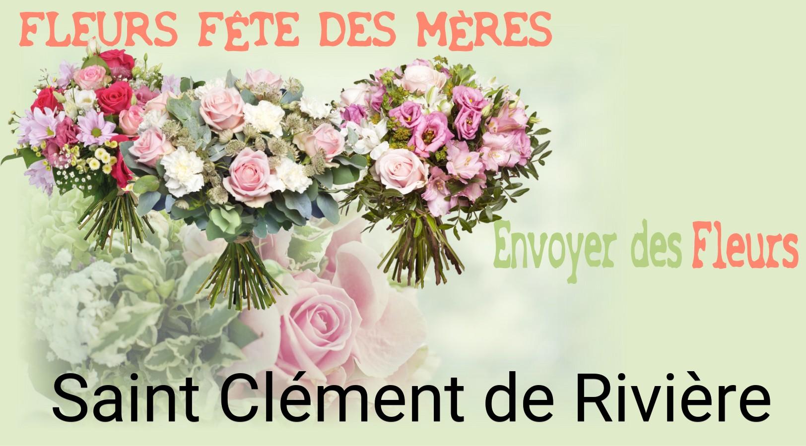 Bouquet de Fête des Mères livré à Saint-Clément-de-Rivière